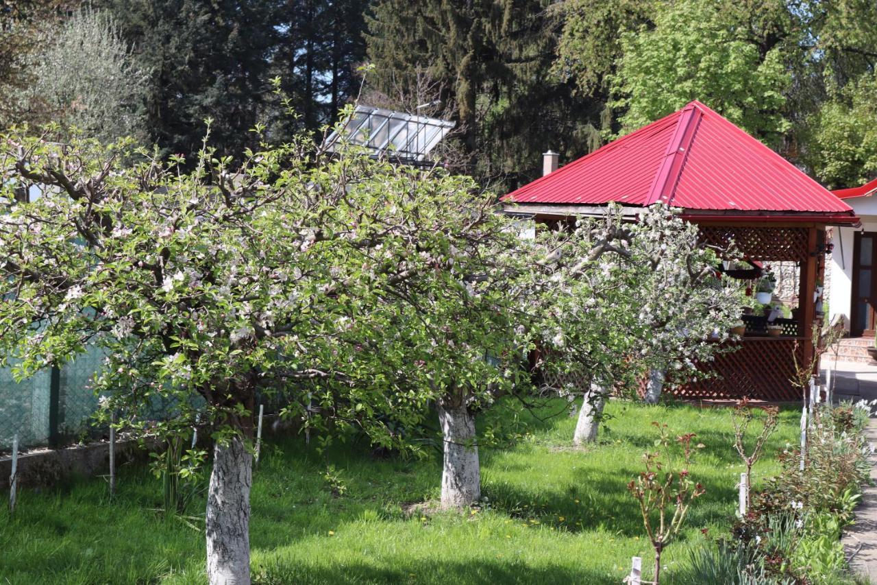 Accommodation Casa Luca Horezu Kültér fotó